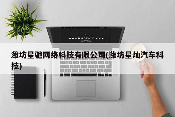 潍坊星驰网络科技有限公司(潍坊星灿汽车科技)