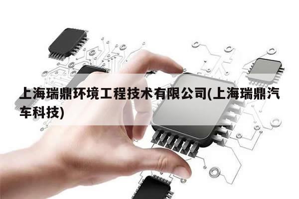 上海瑞鼎环境工程技术有限公司(上海瑞鼎汽车科技)